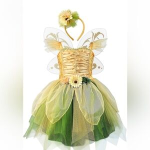 Fairy Princess Costume with Wings and Headband